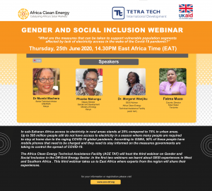 Gender and Social Inclusion (GESI) Webinar: East Africa